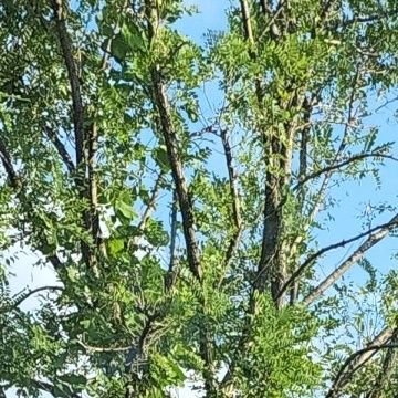 lKSJ9eD2cylc9UE's profile picture. よろしくお願いします🙇‍♀️⤵️