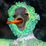 aidenedwards05's profile picture. hol