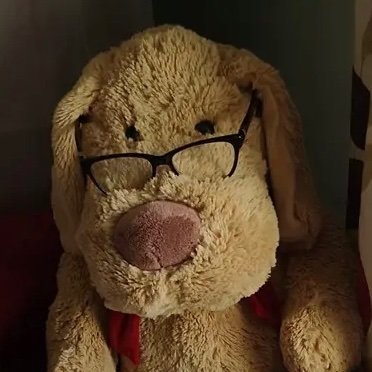 H_T_dawg's profile picture. Worldly wise ole dawg. Live with respect. Value all life.