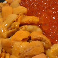 のぼちゃ (@nobocha13_5296) 's Twitter Profile