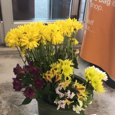 syilaayaa's profile picture. 23 but 13 at heart