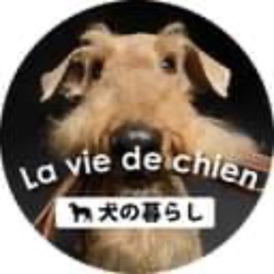 仙台市のDog Salon「ラ・ヴィ・デ・シアン」の公式アカウントです🐶
わんちゃんが自然体で過ごせるよう、わんちゃんの暮らしをトータルサポートします😊
トリミング・ホテル・おやつやフード類など各種取り揃えております✨
お気軽にご来店ください🎶
【営業時間】10:00-19:00/水曜定休