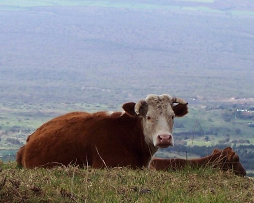 JimFrasher's profile picture. 