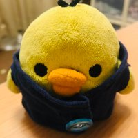 雪ねこ (@tora13_yuki) 's Twitter Profile
