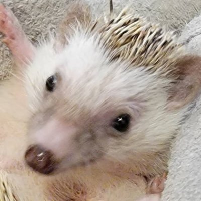 凪さんのプロフィール画像