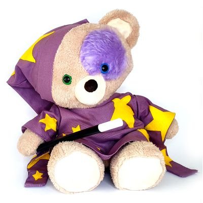 The official Twitter page of Teddy Bear Wizard: In Magic We Believe #teddybearwizard #teddybear #childrensbooks #magical #educational