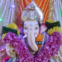 Rach D (@rachana716) 's Twitter Profile