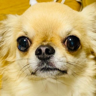 631ZDGWxbqS6enz's profile picture. 