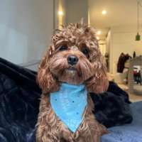 Skittles (@kinzyzz) 's Twitter Profile Photo