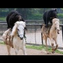 Caleb Grant - @Caleb4Grant - Twitter