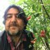 Mehmet DEMİR (@demirmehmet73) Twitter profile photo Mehmet DEMİR (@demirmehmet73) Twitter profile photo