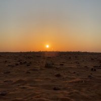 حمد اليابسي (@hamad009977) 's Twitter Profile