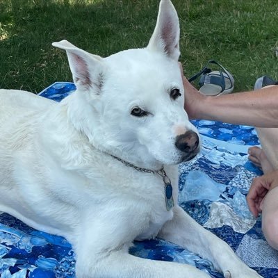 Small business owner. Life and business are about giving back. Love animals. Be kind. Have Empathy. Travel often. #resist & #Persist Life is a gift. And Read!