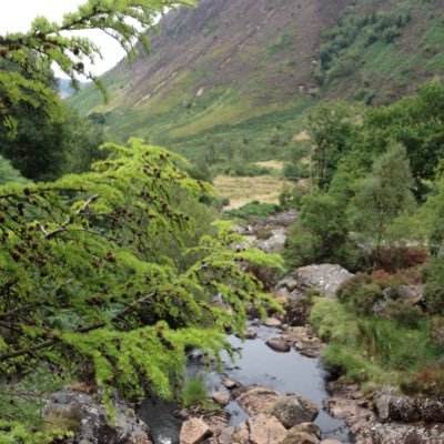 Ex Armed Forces, enjoys semi-retirement & long walks in rural Shropshire accompanied by a busy Sprocker. Buy British & support British Farming 🥩🥕🥔🚜