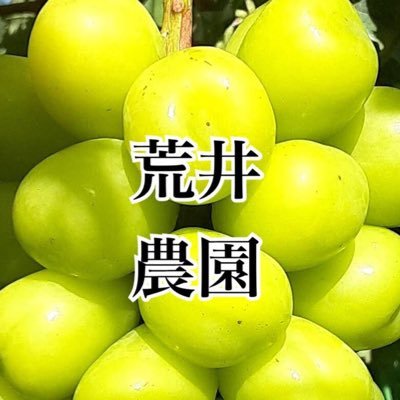 長野県でブドウ農家を営んでおります😊毎年9月に美味しい農園のブドウをお届けしたいと思っております♪ヤフオクだけの限定発売です！是非お試し下さい♪ #シャインマスカット ＃荒井ブドウ農園 #クイーンルージュ