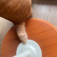 MiMi (@33fuwa) 's Twitter Profile