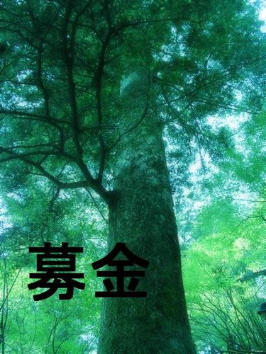 bokin1234's profile picture. 一回で１００円～１０００円の募金が無料で出来ます。【募金サイト】