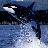 jagi's profile image