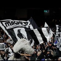 🏆 Collingwood Cheersquad 🏆(@PiesCheerSquad) 's Twitter Profile Photo