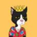 Catmuffin (@lukestrain) Twitter profile photo Catmuffin (@lukestrain) Twitter profile photo