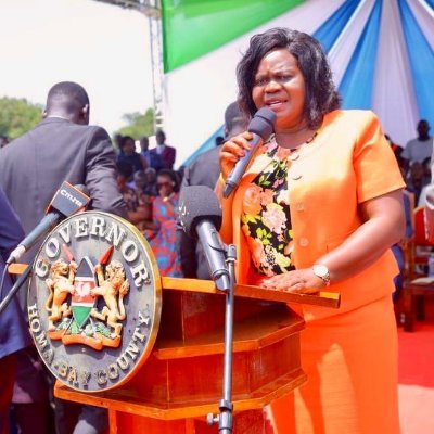 Office of the Governor, Homabay County Profile