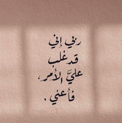 AmgadKamal2006's profile picture. 