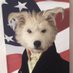 Democratic Dog Profile picture