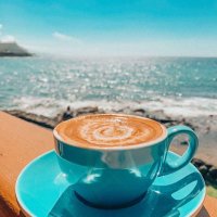 ابو عبد المجيد (@tet11111tet) 's Twitter Profile