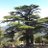 Fatih98501938's profile image
