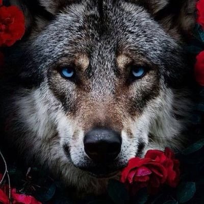 Columbi92909276's profile picture. DONIA ADAB