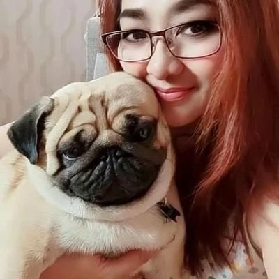 Hi, My name is Lisa .I am a lover of all things pug. I love their wrinkled little faces and their big, soulful eyes. Follow me for pug photos & videos.