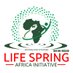 Life Spring Africa Initiative (LISAI) (@lisaidefender) Twitter profile photo
