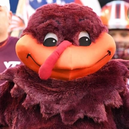 Virginia tech fan go hokies