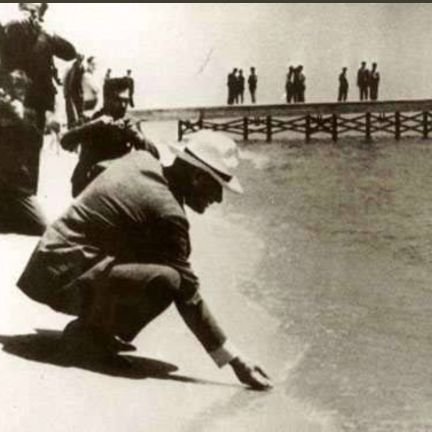 tulparbeyy's profile picture. 