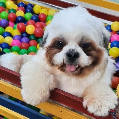 RsEliete's profile picture. 