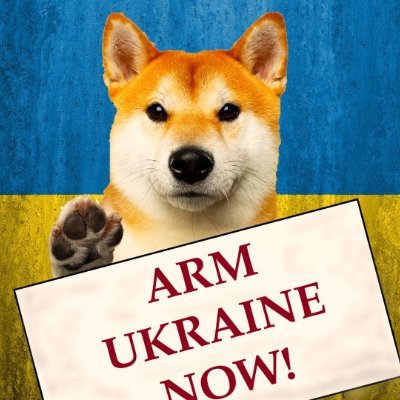 Mykola 🇺🇦🇺🇸🇵🇱🇬🇧🇳🇱🇨🇿🇫🇮🇱🇹🇱🇻🇪🇪 Profile