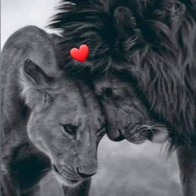 mgrb009634752's profile picture. رزقني الله بك وأيقنت أنك أجمل ارزاقي🫂🫀