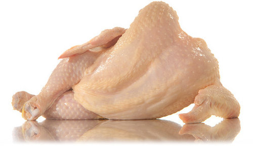 Sexy Chicken