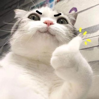 buzhangpang's profile picture. 