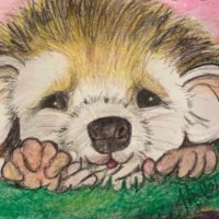 Hedgehog512(@Julie76983198) 's Twitter Profileg