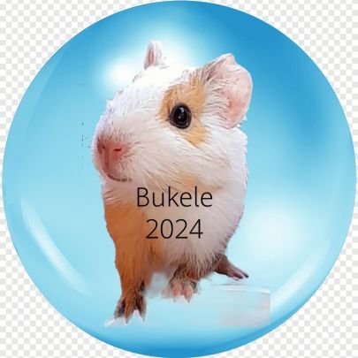 apoyo al 💯 al presidente Bukele 💯 sígueme y te sigo...
Reelección 2024