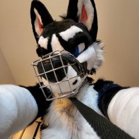 tuxxxhusky.bsky.social (@tuxxxhusky) 's Twitter Profile