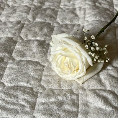(وَقُل رَّبِّ زِدْنِي عِلْمًا) | النيرسة💉 | خليطٌ بين داء الحياة وَدواء الرّحمة 🩺