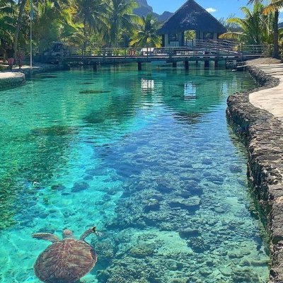 Marion214253561's profile picture. QZV7SGSV