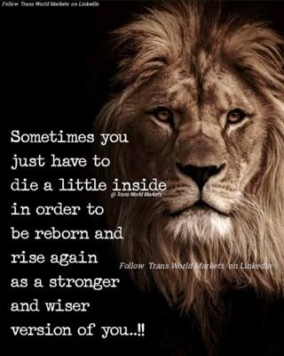 Arjunsinghchir3's profile picture. Believer