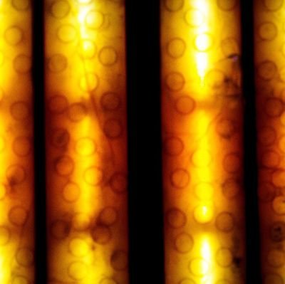 Sir_Kabeer's profile picture. Don't Be Sad | NFT collector | #BTC