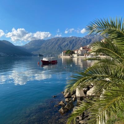 AlanBukovski's profile picture. 