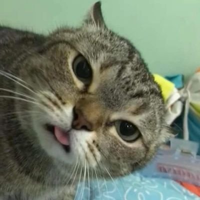 ayok pasti bisa!!