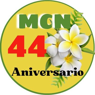 El Movimiento Comunal Nicaragüense es una organización de carácter civil, comunitaria y popular, sin fines de lucro y cobertura nacional.