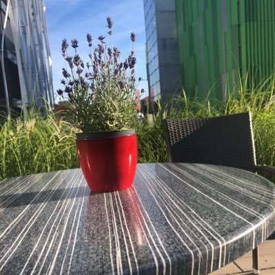 AmmarAbdelkare2's profile picture. Asst. Prof. in Embedded systems for mobile comm. using SHARC DSP Processors.. PhD from Newcastle University- UK.